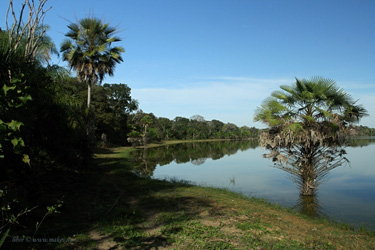 Brazílie, Pantanal